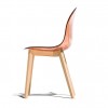 Sedia Academy CB/2159 Connubia - Struttura Rovere Naturale e Seduta Zafferano Trasparente