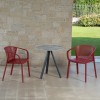 Sedia Gianet con braccioli Gaber - Colore Marsala.