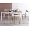 TAVOLO ALLUNGABILE EMINENCE CB/4724-M160 - In metallo Bianco Ottico P94 e piano in nobilitato Deco Nocciola P17W. Sedia Argo.