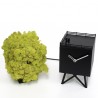 OROLOGIO DA TAVOLO BIRDWATCHING 2240 - In legno Nero con lancette in bianco. Albero in MOSS Verde. Dettaglio cucù.
