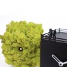 OROLOGIO DA TAVOLO BIRDWATCHING 2240 - In legno Nero con lancette in bianco. Albero in MOSS Verde. Dettaglio cucù.