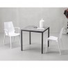 SEDIA CON BRACCIOLI VANITY 2654 - Struttura interamente in policarbonato nel colore Bianco Pieno lucido 310.