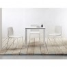 SEDIA ZEBRA TECNOPOLIMERO 2616 -  Gambe in metallo verniciato Bianco Lino e seduta in tecnopolimero Bianco Lino. Tavolo Mirto.