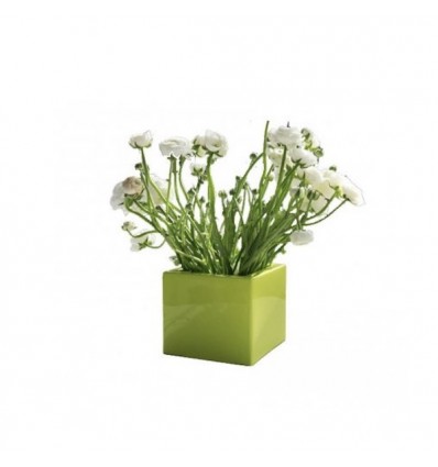 Vaso Q-Pot - Realizzato in polietilene in forma quadrata nel colore standard Verde Lime FR. In due misure differenti.