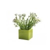 Vaso Q-Pot - Realizzato in polietilene in forma quadrata nel colore standard Verde Lime FR. In due misure differenti.